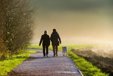 Image of pathway to a concrete staircase going up into the fog